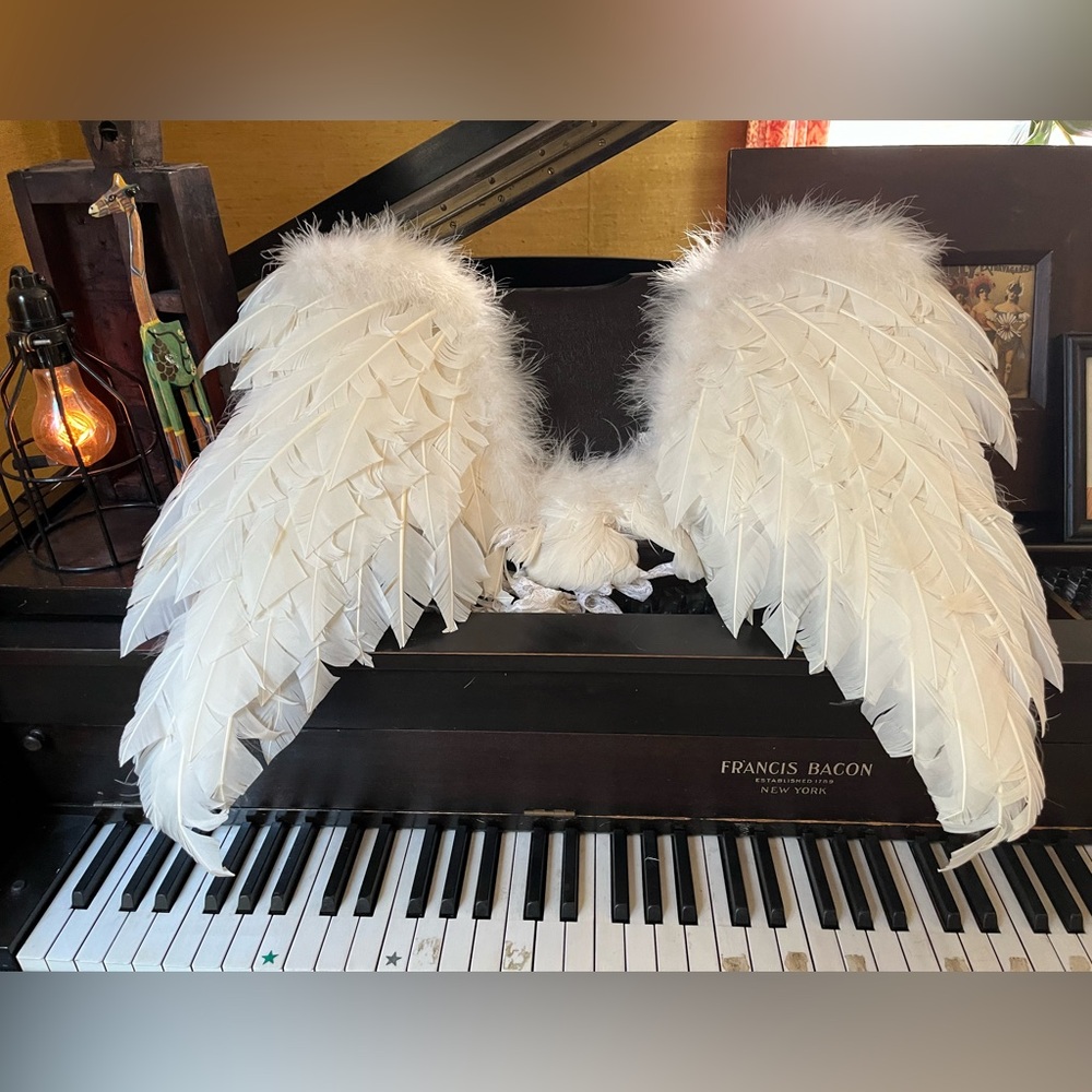 REAL Feather Wings